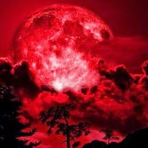 Meet your Posher, Weirdo witch